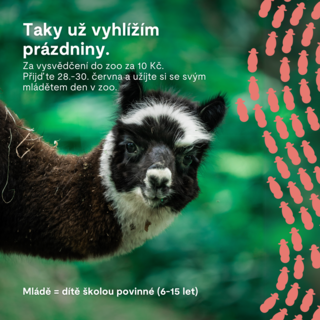 Školáci v zoo za 10 Kč!